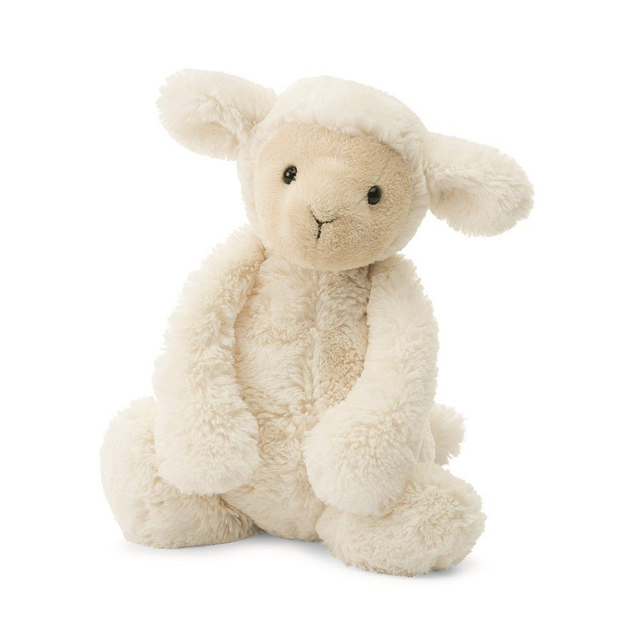 Bashful Lamb