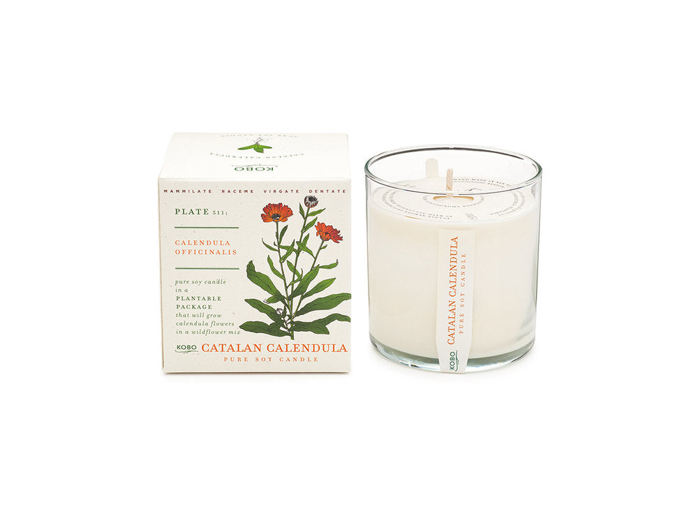 Catalan Calendula Soy Candle