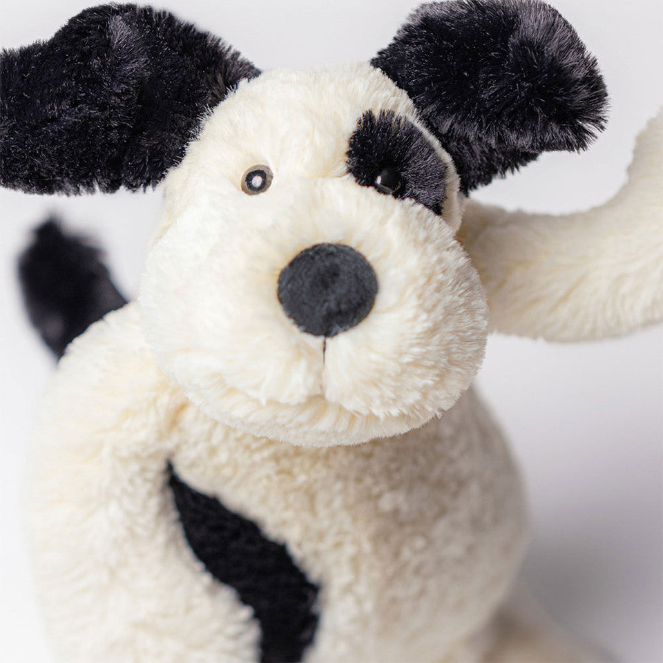Bashful Puppy