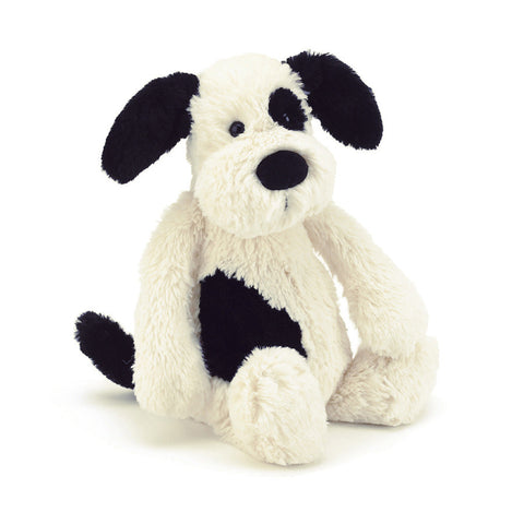 Bashful Puppy