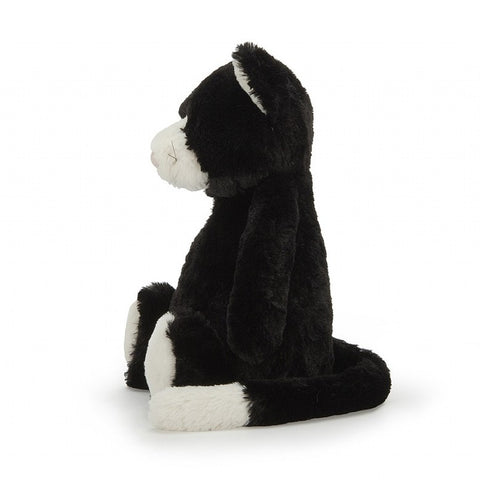 Bashful Black And White Kitten