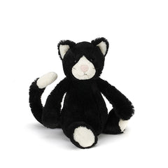 Bashful Black And White Kitten