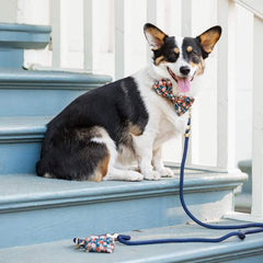 Ocean Marin Rope Dog Leash