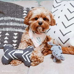 Modern Mud Cloth Black Dog Squeaky Toy