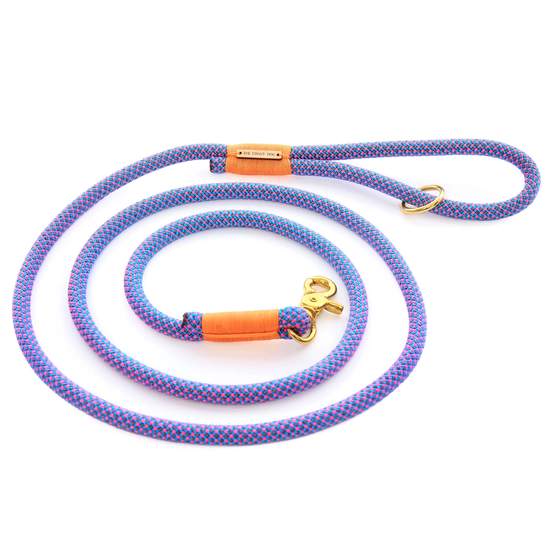 Neon Tetra Climbing Rope Dog Leash