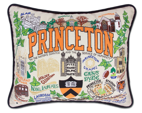 PRINCETON UNIVERSITY Pillow