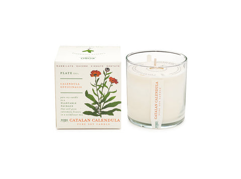 Catalan Calendula Soy Candle