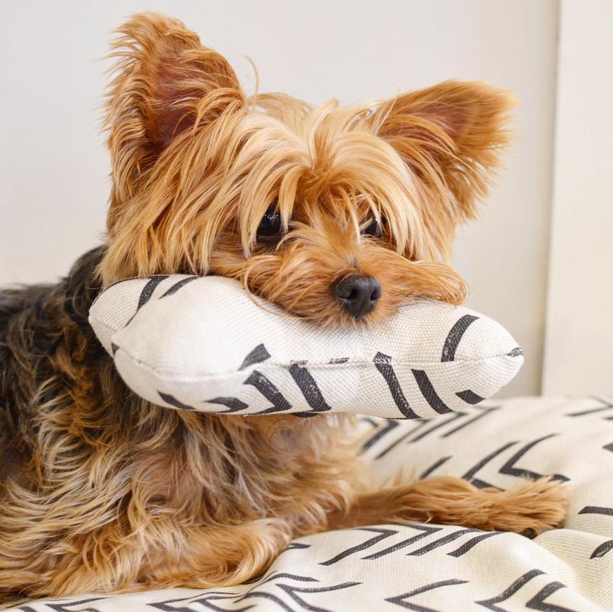Modern Mud Cloth Natural Dog Squeaky Toy