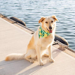Lemon Zest Dog Bandana
