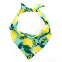 Lemon Zest Dog Bandana