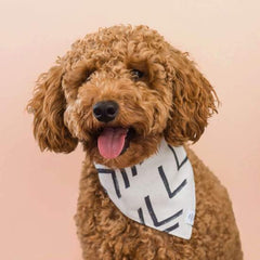 Modern Mud Cloth Natural Dog Bandana
