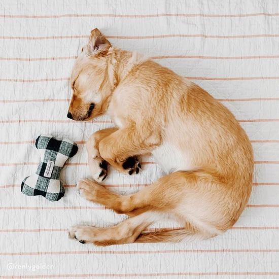 Navy Blue Gingham Dog Squeaky Toy