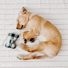 Navy Blue Gingham Dog Squeaky Toy