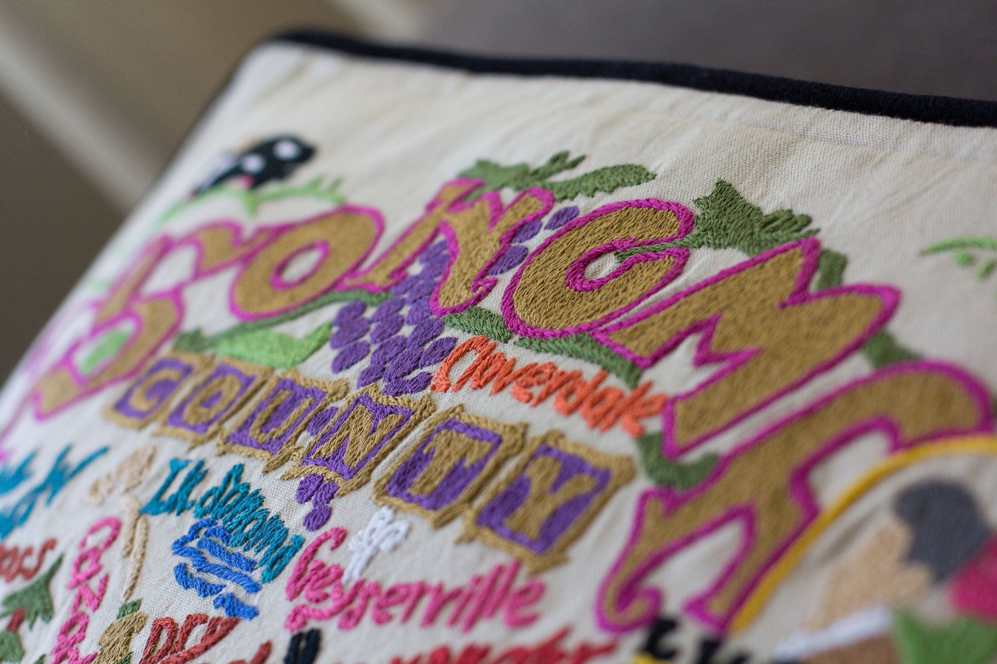 Sonoma County Hand-Embroidered Pillow